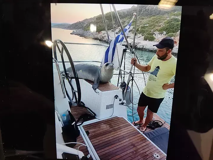Jeanneau Sun Odyssey 440 | Celene