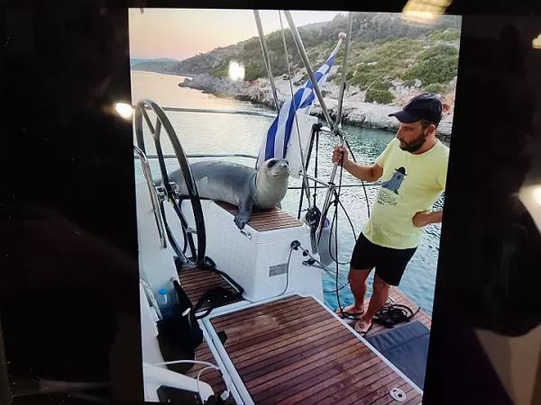 Jeanneau Sun Odyssey 440 | Celene