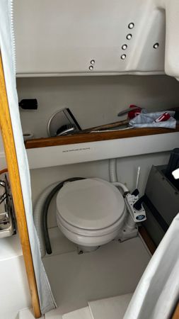 Django 7.70 | Telika