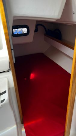 Django 7.70 | Telika