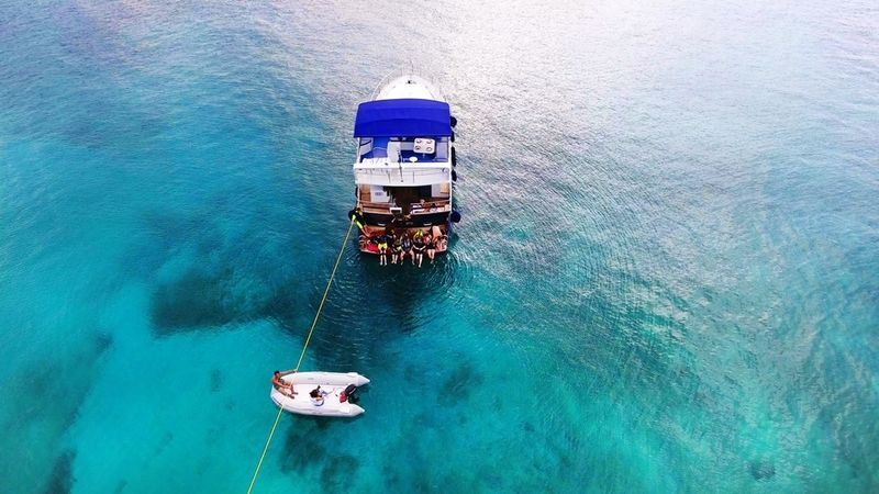 Wave Runner 50 | Blue Diamond