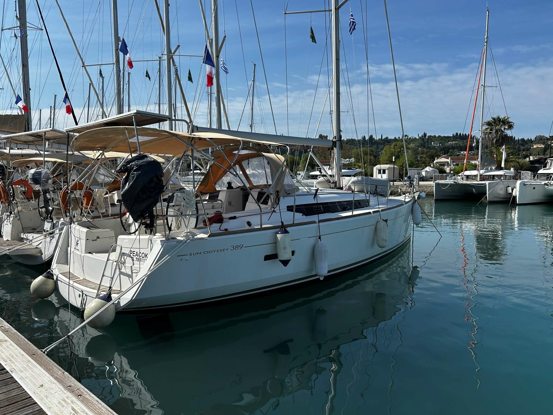 Jeanneau Sun Odyssey 389 | Peacok