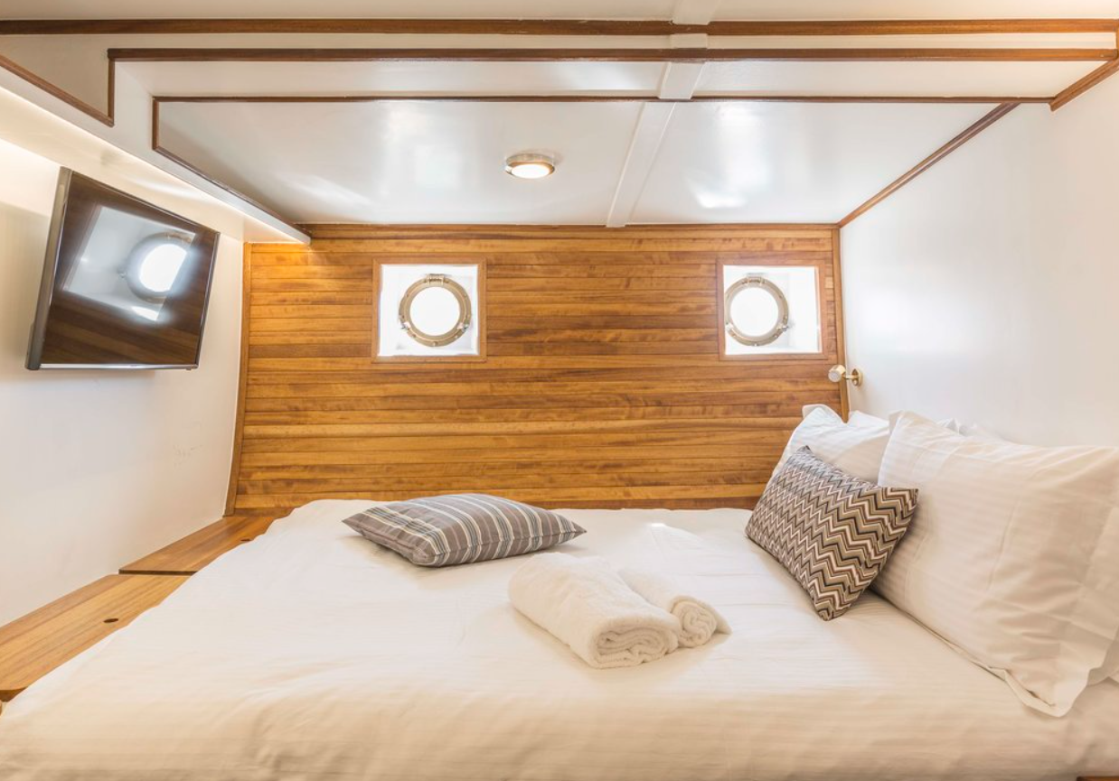 Motor Sailer 81 | Cosmos