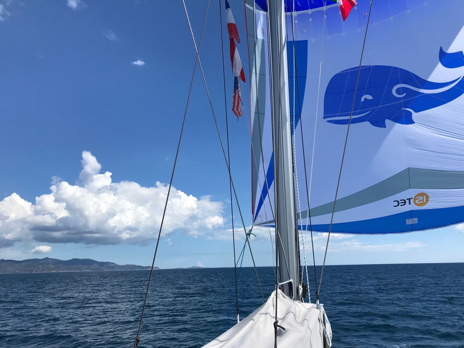 Fountaine Pajot Astrea 42 | Wild Baleine