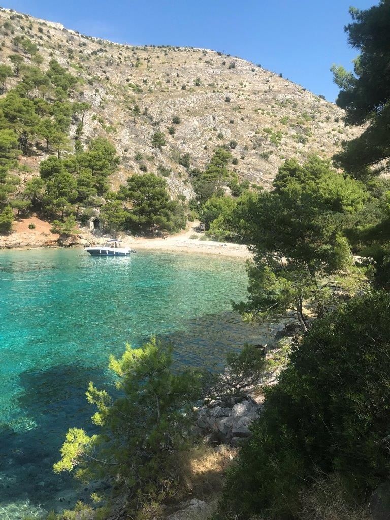 Quicksilver 635 | Commander