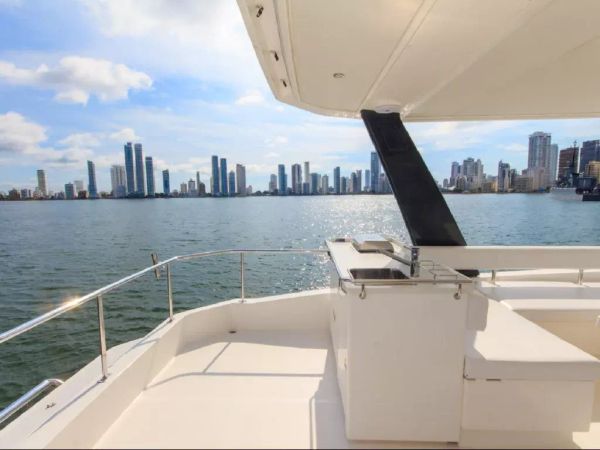 Leopard 43 | New Horizon