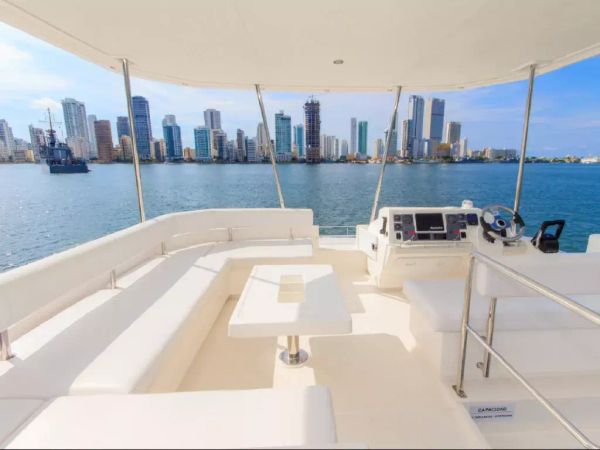 Leopard 43 | New Horizon