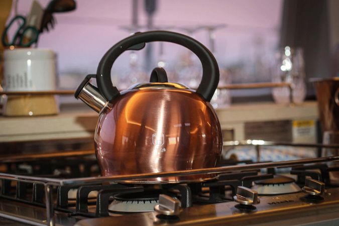 Leopard 50 | Lady Amanda