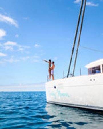 Lagoon 450 F | Papillon