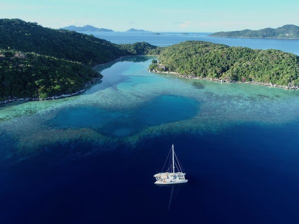 Ocean 850 | Lone Star