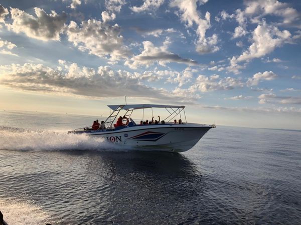 Mercan 36 | Excursion