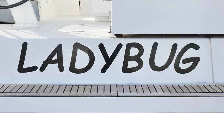 Beneteau Oceanis 46.1 | Ladybug