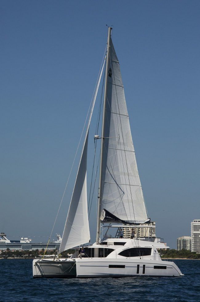 Leopard 58 | La Grande Bellezza