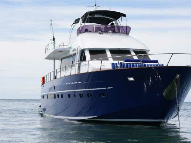 Tarquin 66 | Ambition