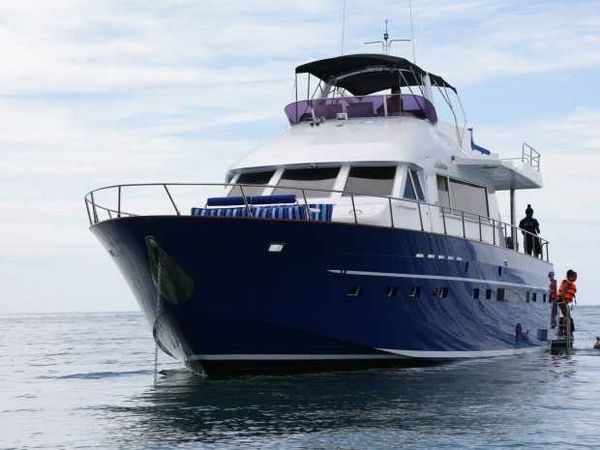 Tarquin 66 | Ambition