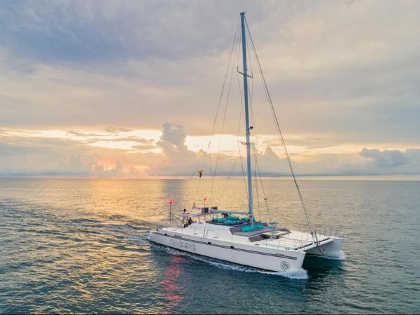 Custom Built 65 | Maxicat