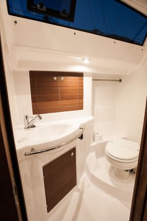 Elan 40 | Baby Shark