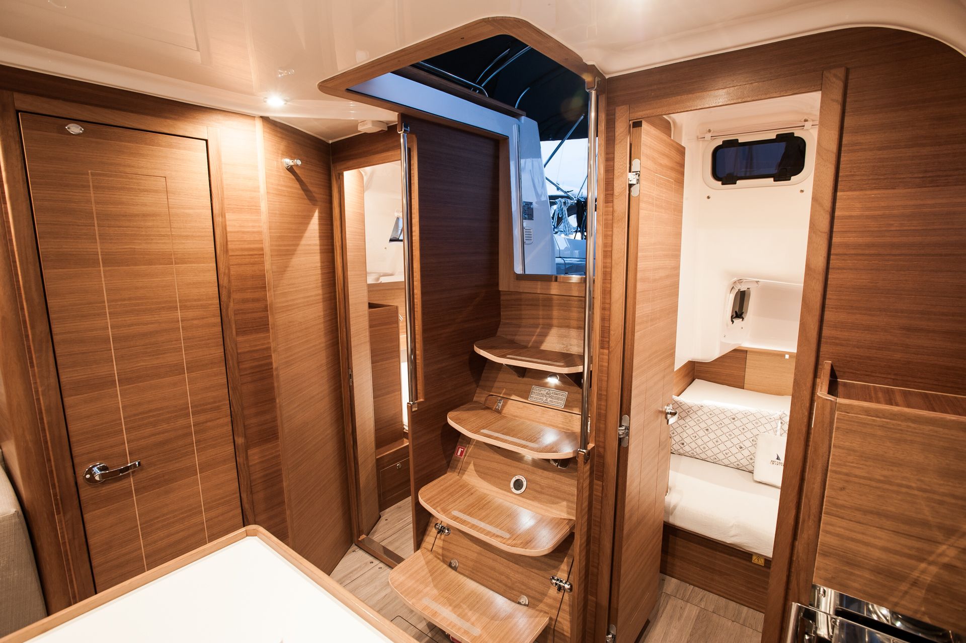 Elan 40 | Baby Shark