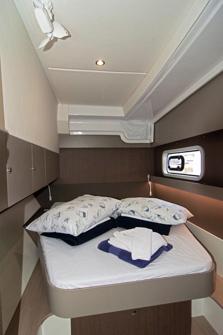 Bali Catspace | Baby Shark