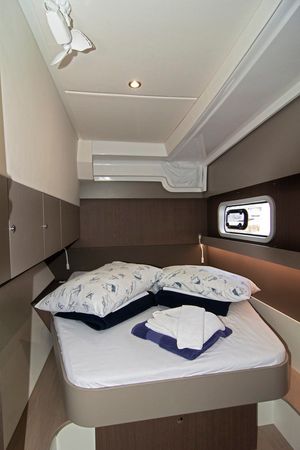 Bali Catspace | Baby Shark