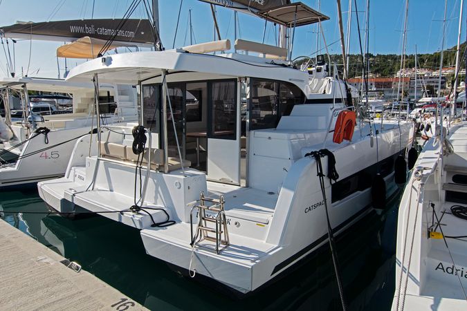 Bali Catspace | Baby Shark