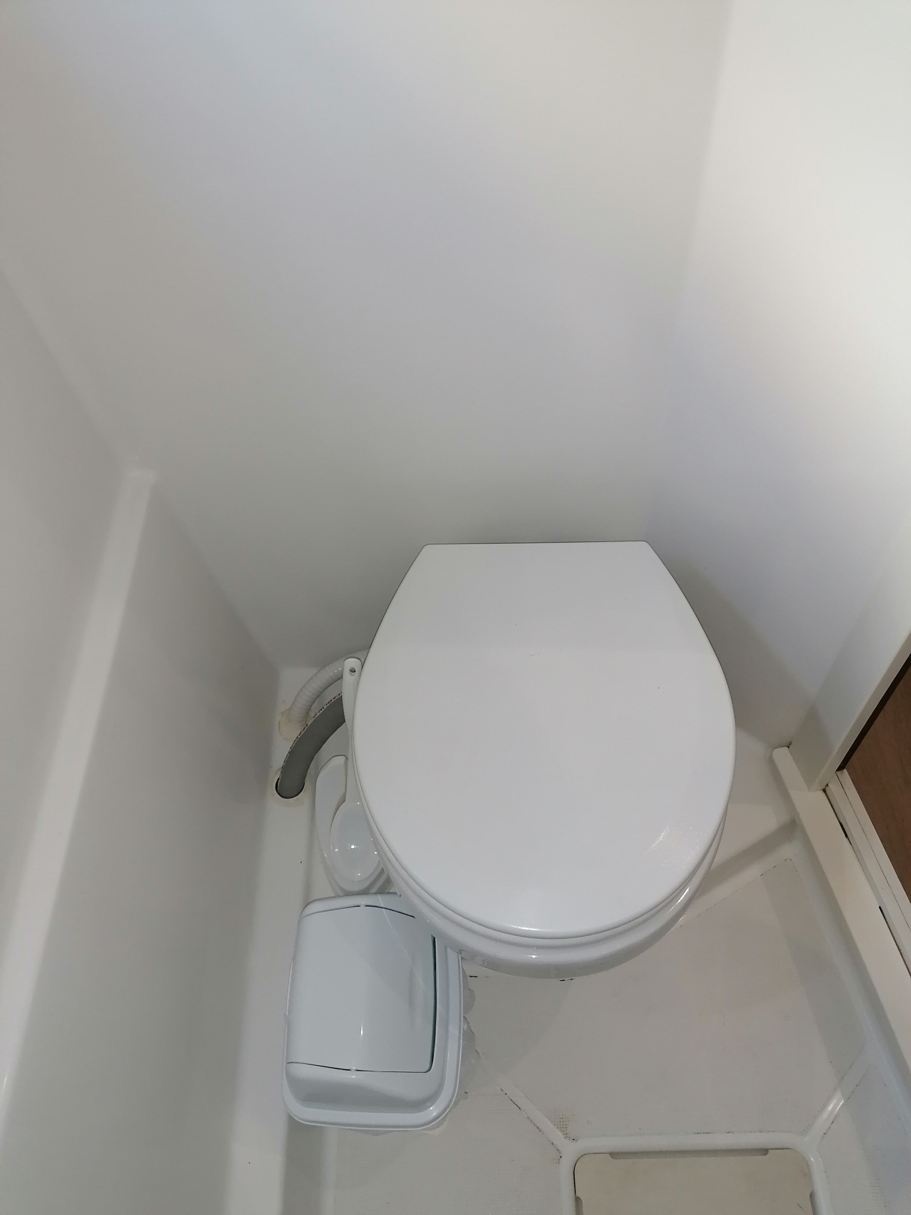 Bali Catspace | Elfrith