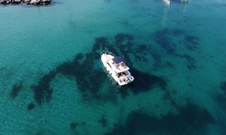 Princess 40 Fly | ST George