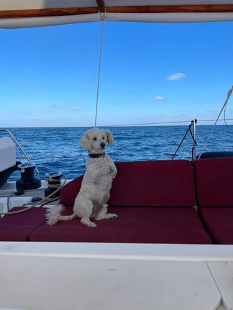 Beneteau Oceanis 51 | Ef Zin