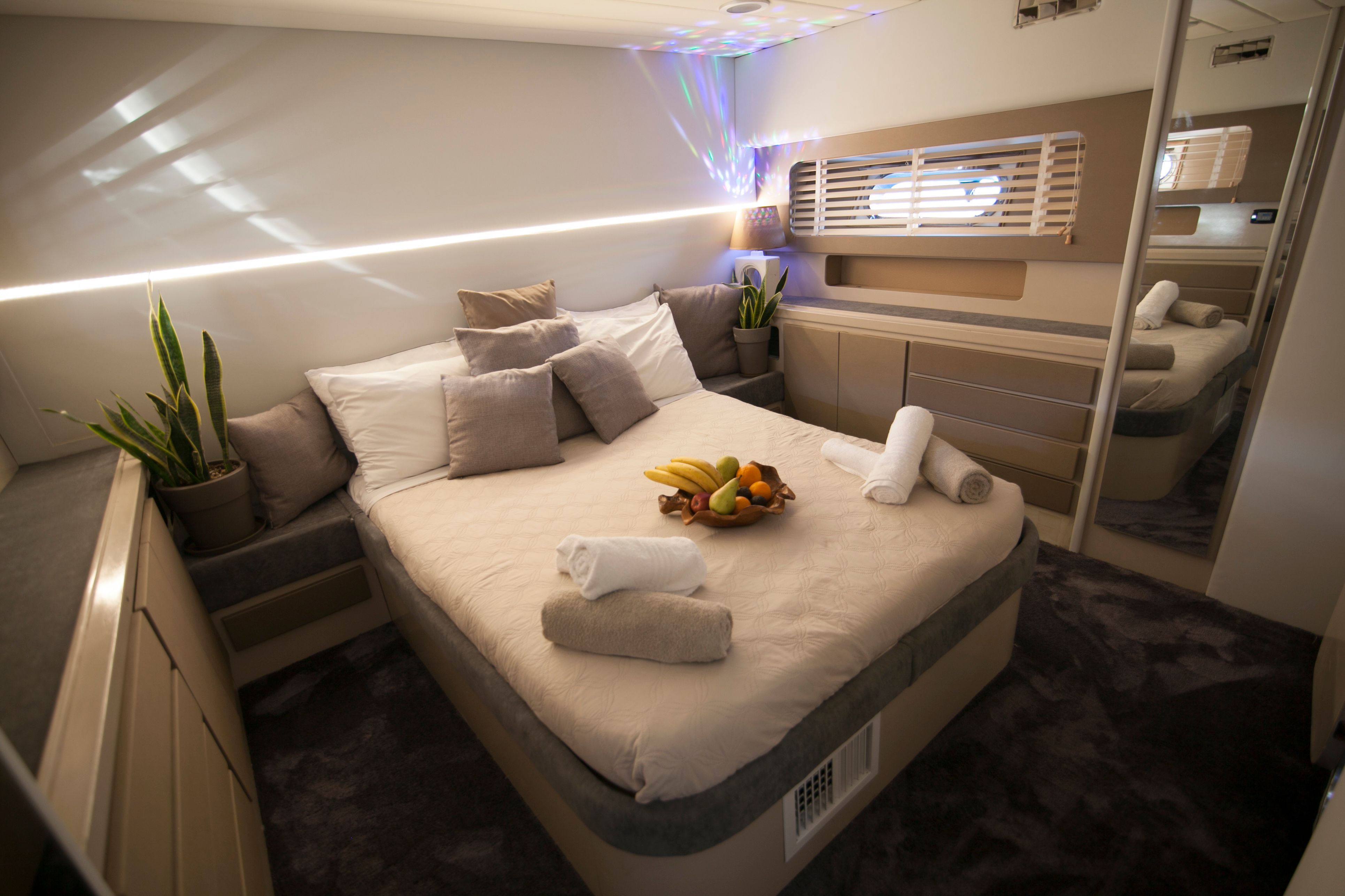 Maiora Renaissance 66 | Dini