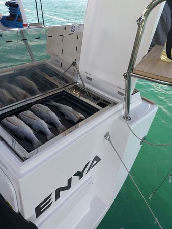 Elan 45.1 Impression | Enya