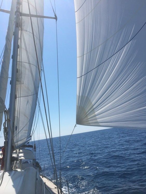 Ta chiao 47 | NuShen