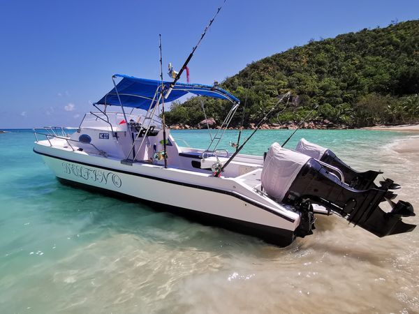 Custom Built 28 | Delfino