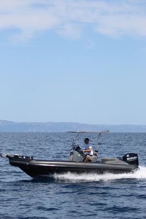 Indigo 20 | Paradise 2