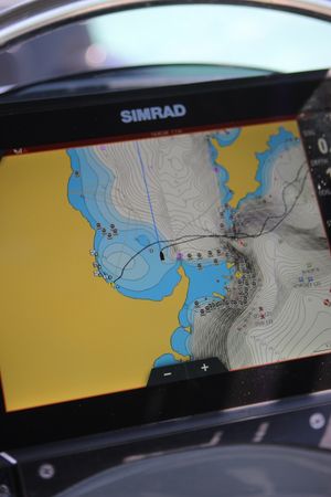 Indigo 20 | Paradise 2