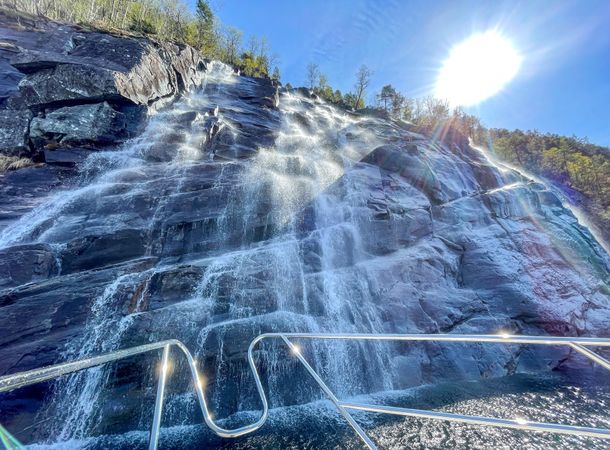 Princess 50 | Iselina Bella