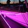 Pogo 12.50 | Purple Rain
