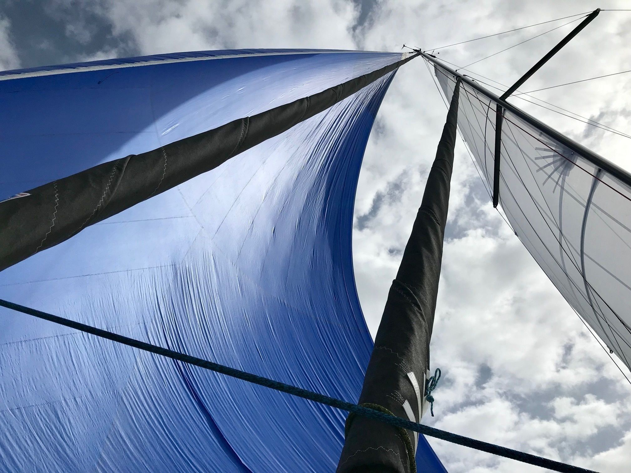 RM 1180 | Caribbean Dandy