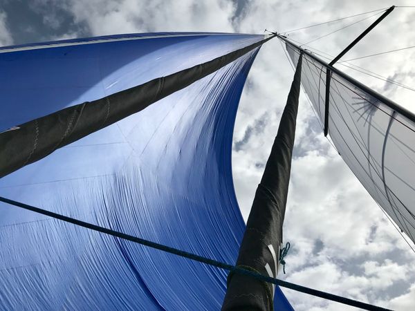 RM 1180 | Caribbean Dandy