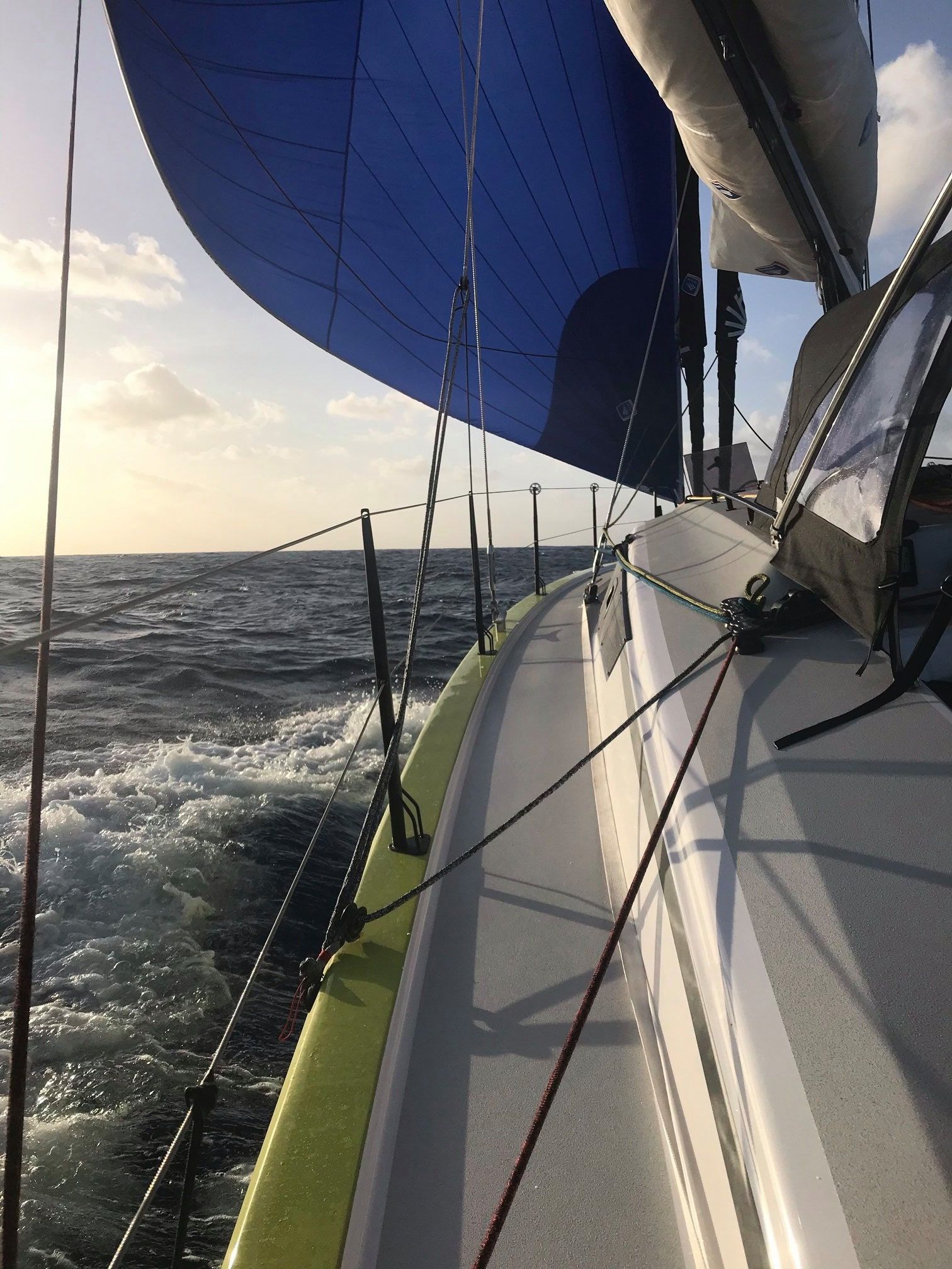 RM 1180 | Caribbean Dandy