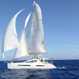 Privilege 615 | Audaz