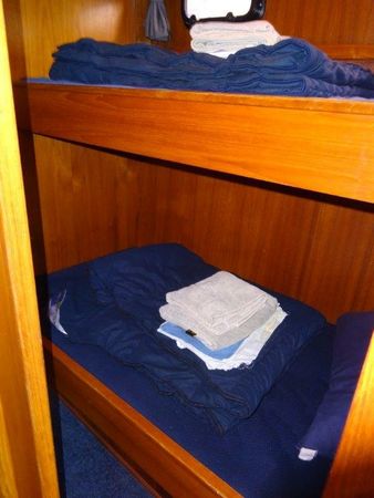 Valkkruiser 1270 | Adrea