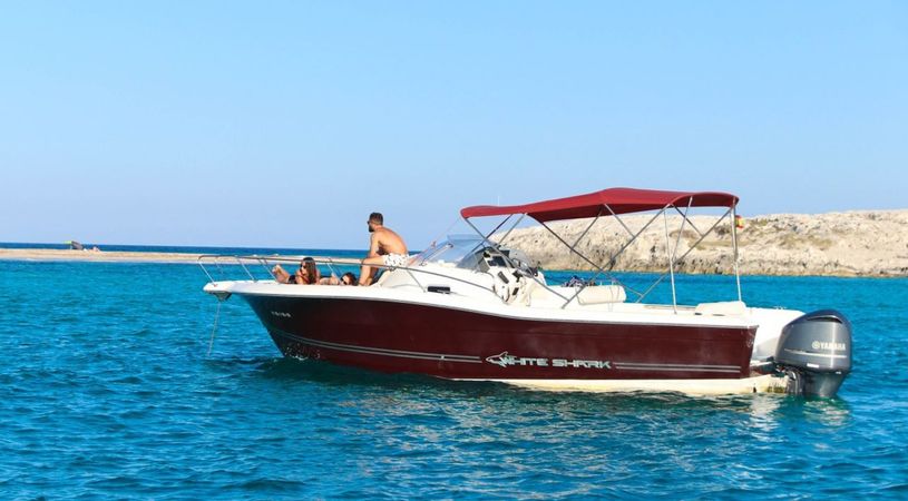 White Shark 298 | Pitu