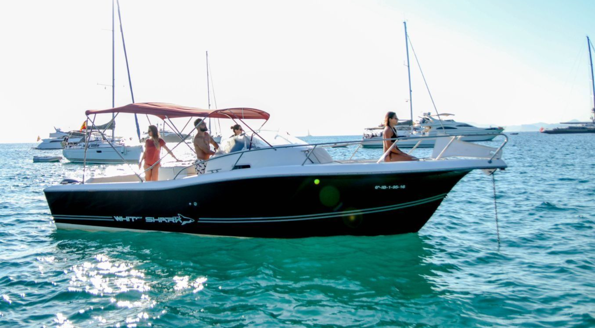 White Shark 298 | Pitu