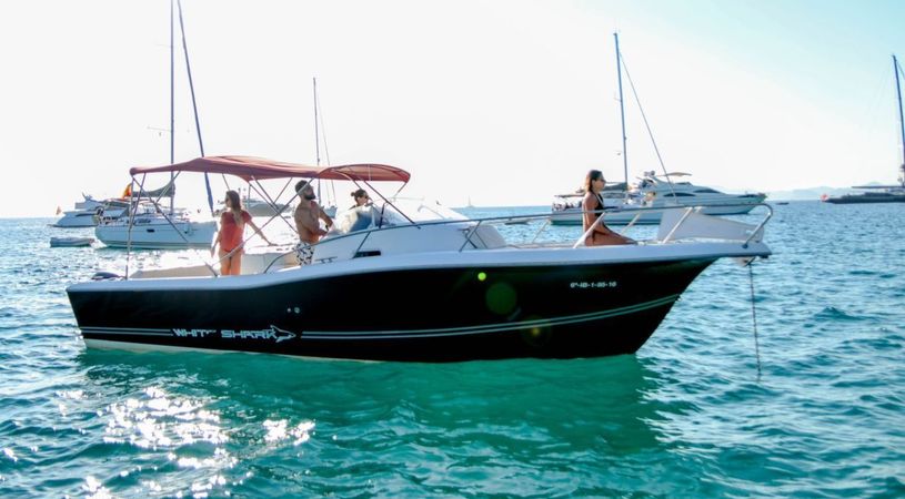 White Shark 298 | Pitu