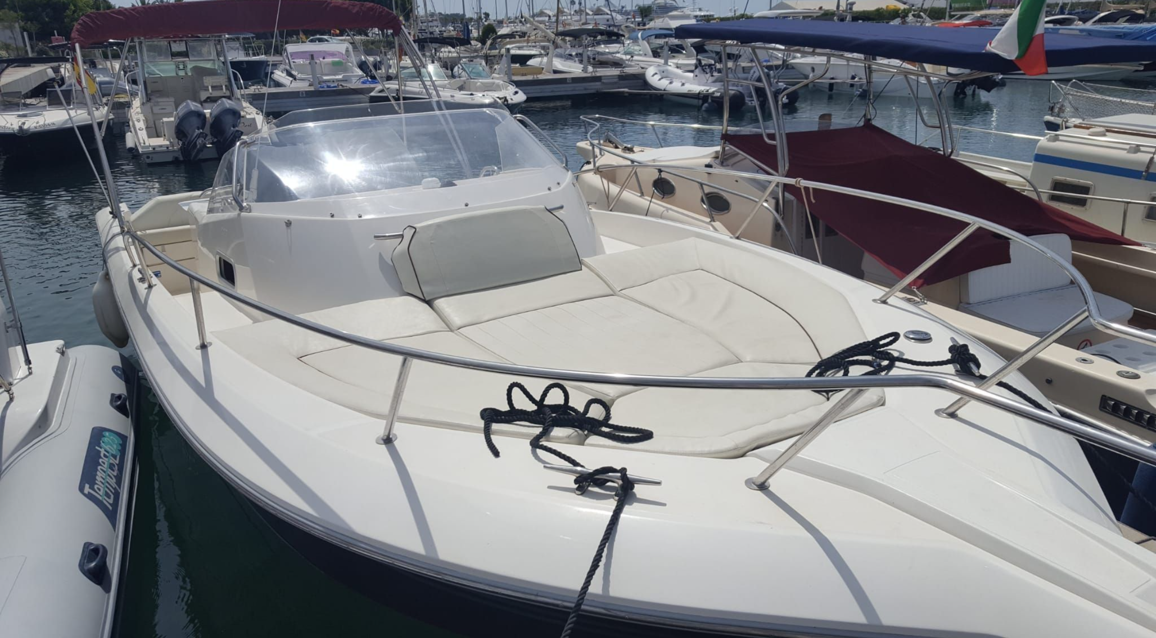 White Shark 298 | Pitu