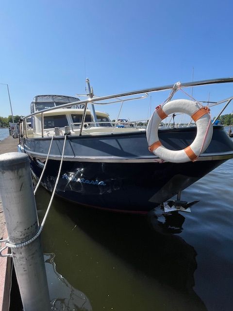 Babro Newline 42 | Anastasia