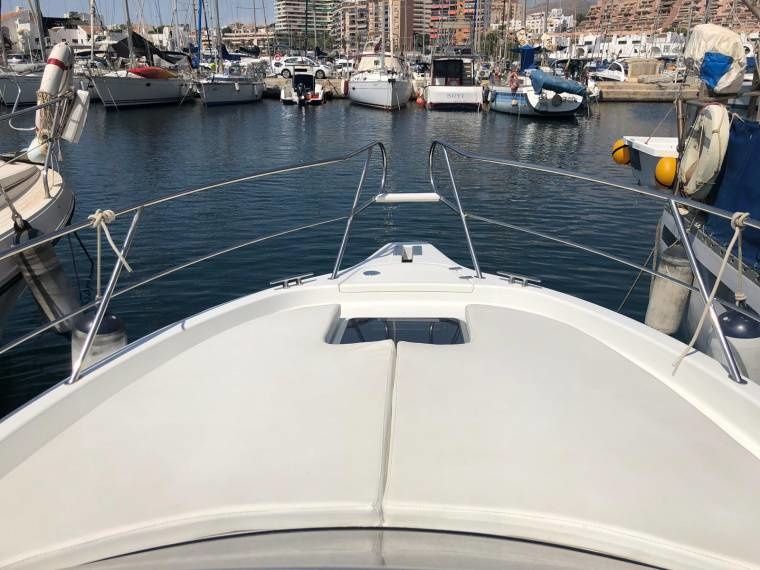 Faeton 26 Scape | Victoria