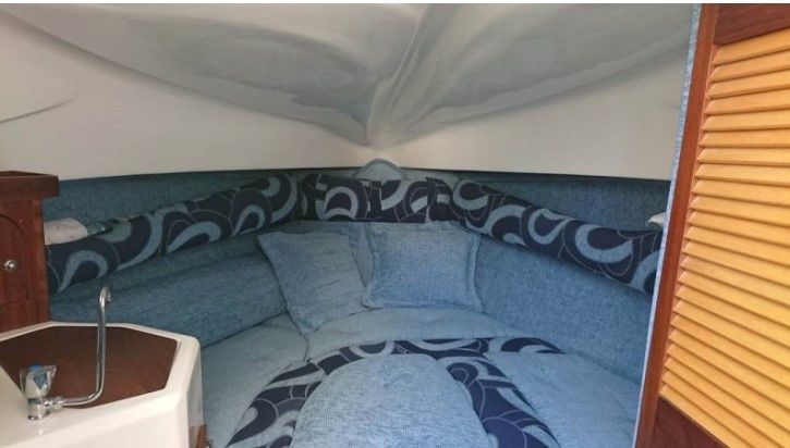 Lema Gen 2 | Scheggia