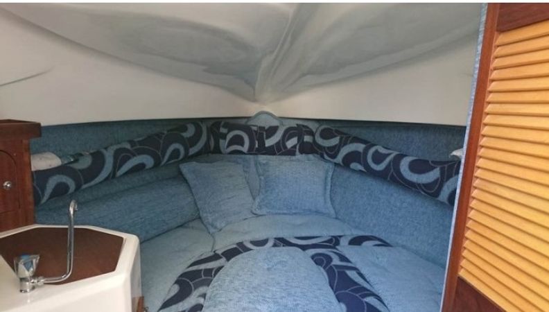 Lema Gen 2 | Scheggia