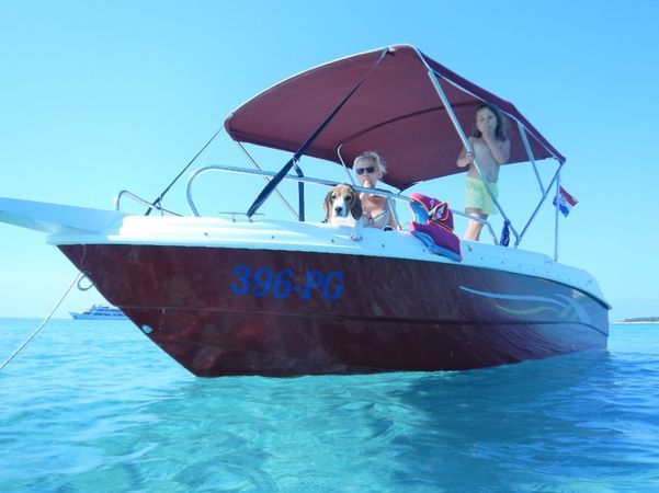 Custom Built 500 | Gringo